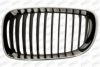 PRASCO BM1212004 Radiator Grille